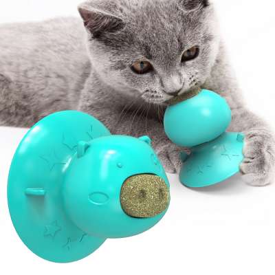 2020 New Amazon Hot Sale Cat Catnip Toothbrush Toy Replaceable Cookie