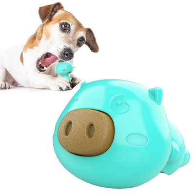 2020 New Amazon Hot Sale Anti-Bite Dog Teether Toy Replaceable Cookie