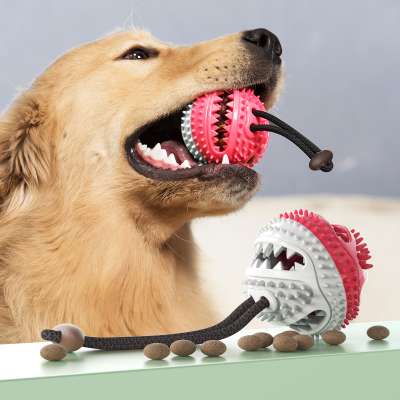 2020 New Amazon Hot Sale Dog Chew Toy Feeder Sound Ball